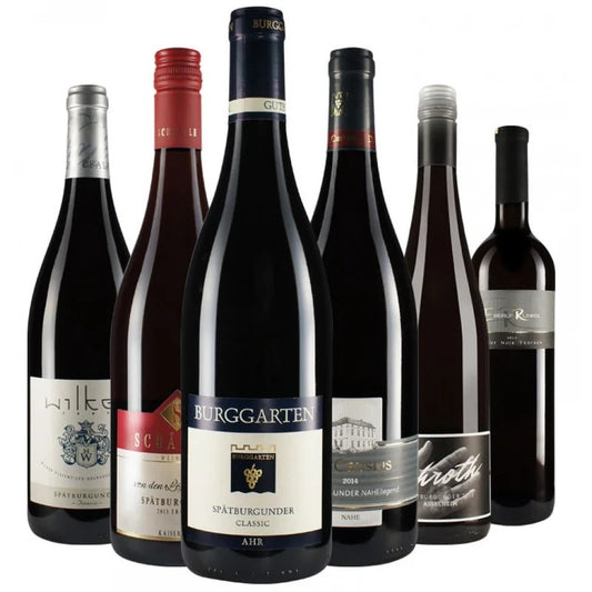 10%RabattWirWinzer-Favoriten:Spätburgunder-Pakettrocken2.0