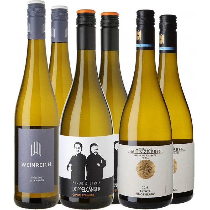 Jungwinzer-TalentePaket–JetztbeiWirWinzer!